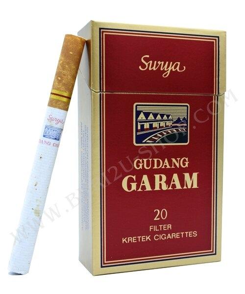 SURYA GUDANG GARAM